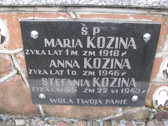 Józef Kozina 1879 Branew - Grobonet - Wyszukiwarka osób pochowanych